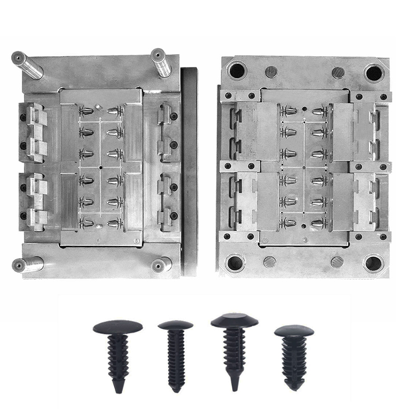 Multi-Cavity Mold Moule multi-cavité